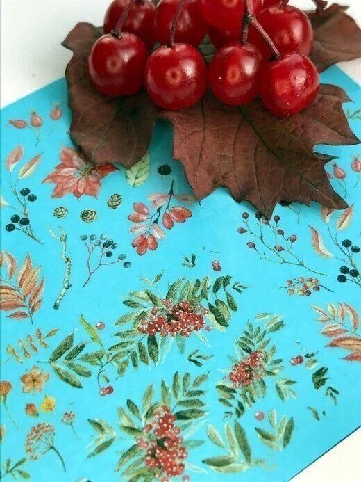 TNL PROFESSİONEL STİKER WC-12