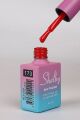SHELBY 10 ML. A173 KALICI OJE