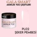 AKRİLİK TOZ 10 G - ŞEKER PEMBE