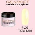 AKRİLİK TOZ 10 G - TATLI SARI