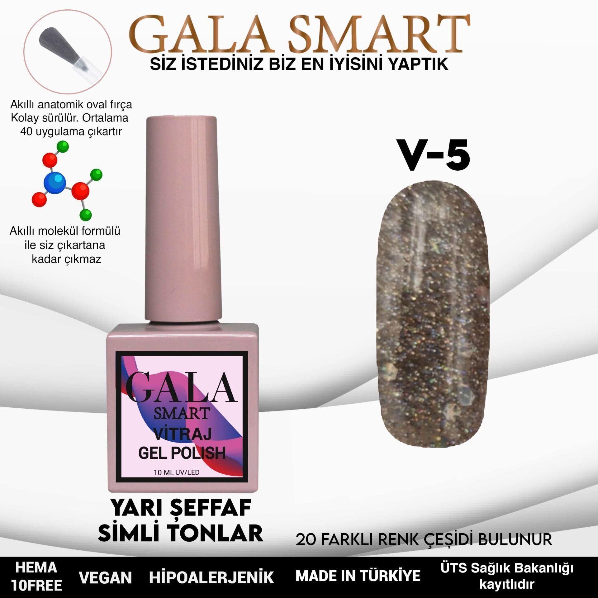 GALA SMART VİTRAJ KALICI OJE 10 ml V5