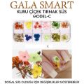 KURU ÇİÇEK TIRNAK SÜS - MODEL:C