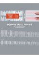 256 ADET SQUARE SANDWİCH DUAL FORM