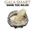 SHİNE TOZ SÜS NO:5