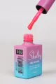 SHELBY 10 ML. A055 LUMINOUS PARLAK KALICI OJE