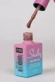 SHELBY 10 ML. A016 KALICI OJE