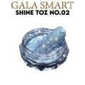 SHİNE TOZ SÜS NO:2