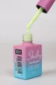 SHELBY 10 ML. A091 KALICI OJE